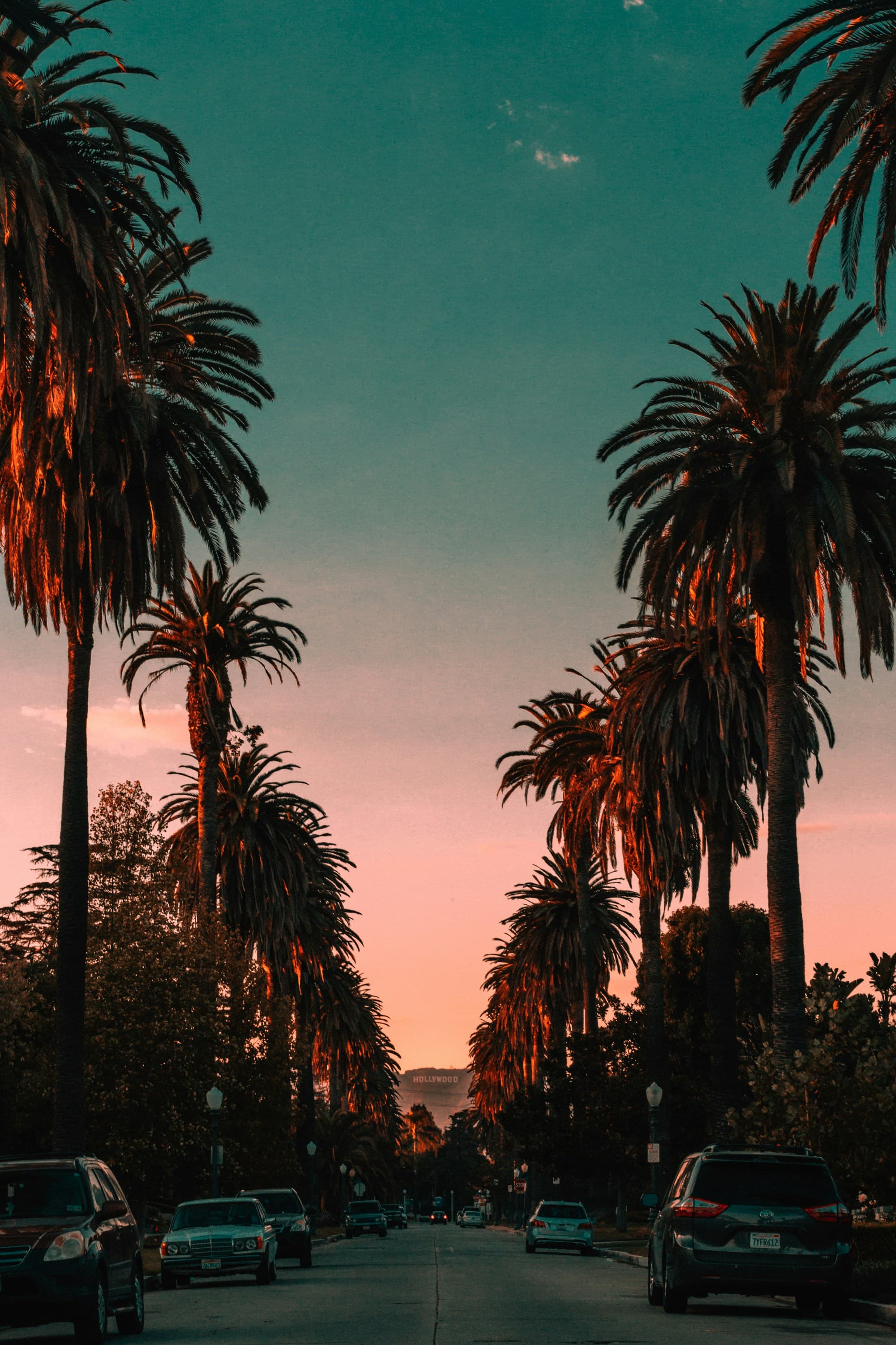 Palm-lined Los Angeles street at sunset, with the Hollywood sign on the distant hill